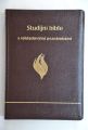 bible-studijni-s-vykl-poznamkami-kuze-zlata-orizka-0008