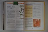 encyklopedie-lecivych-rostlin-0016
