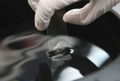 vyvoj-leciv-700x1035